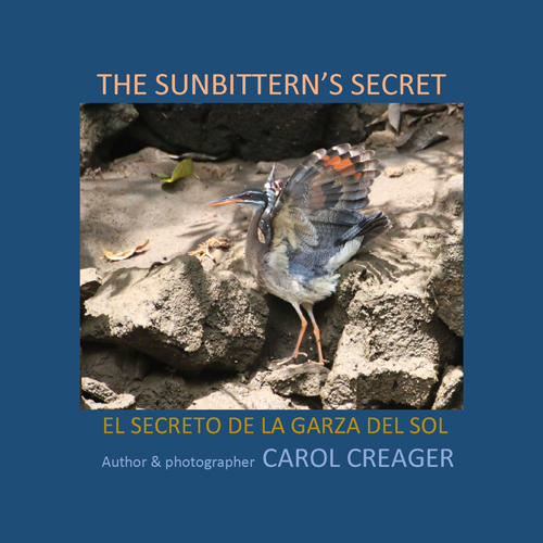 The Sunbittern's Secret by Carol Creager