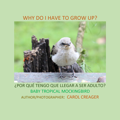 Why Do I Have To Grow Up? by Carol Creager