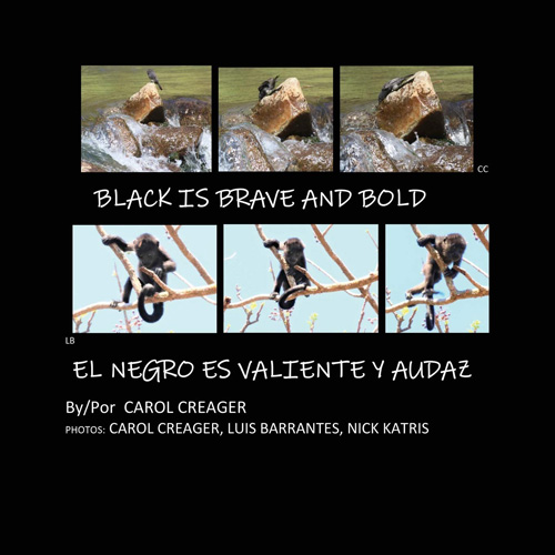 Black Is Brave And Bold / El Negro Es Valiente Y Audaz  by Carol Creager