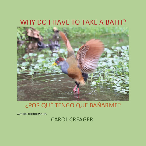 Why Do I Have To Take A Bath? : Por Que Tengo Que Banarme? by Carol Creager
