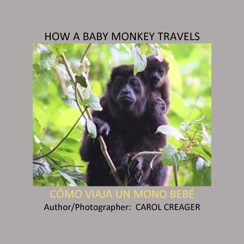 How a Baby Monkey Travels by Carol Creager